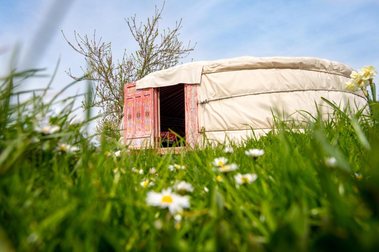 Logements Insolites A La Ferme - Yourte, Kota Ou Pod Farbus Экстерьер фото
